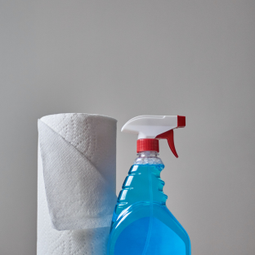 Pigmentos Cleaning Services