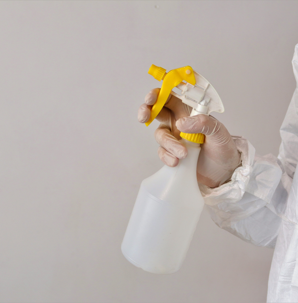 Pigmentos Cleaning Services