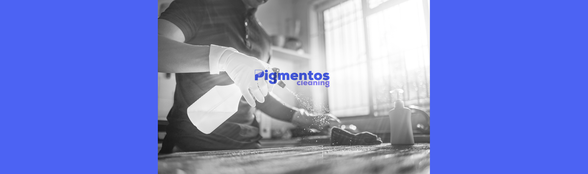 Pigmentos Cleaning Services
